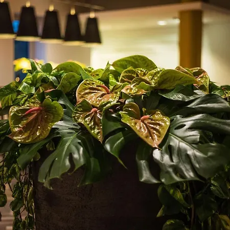 Sheraton Airport Hotel 4*