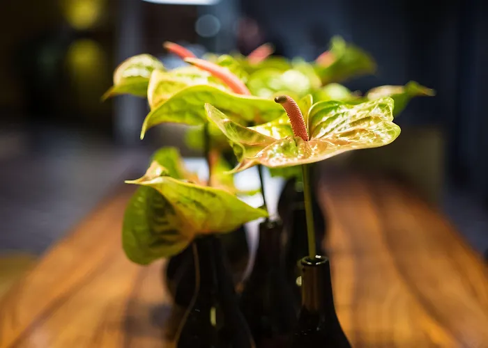 Sheraton Airport Hotel