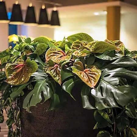 Sheraton Airport Hotell 4*