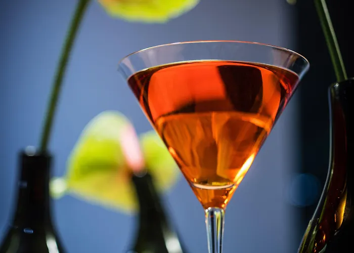 Hotel Sheraton Airport 4*