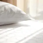 شيراتون إيربورت فندق 4*